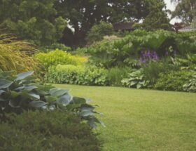 pexels-creative-vix-7283